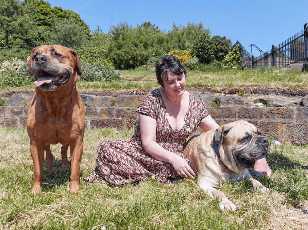 An Animal Agent's Story The Animal Talent