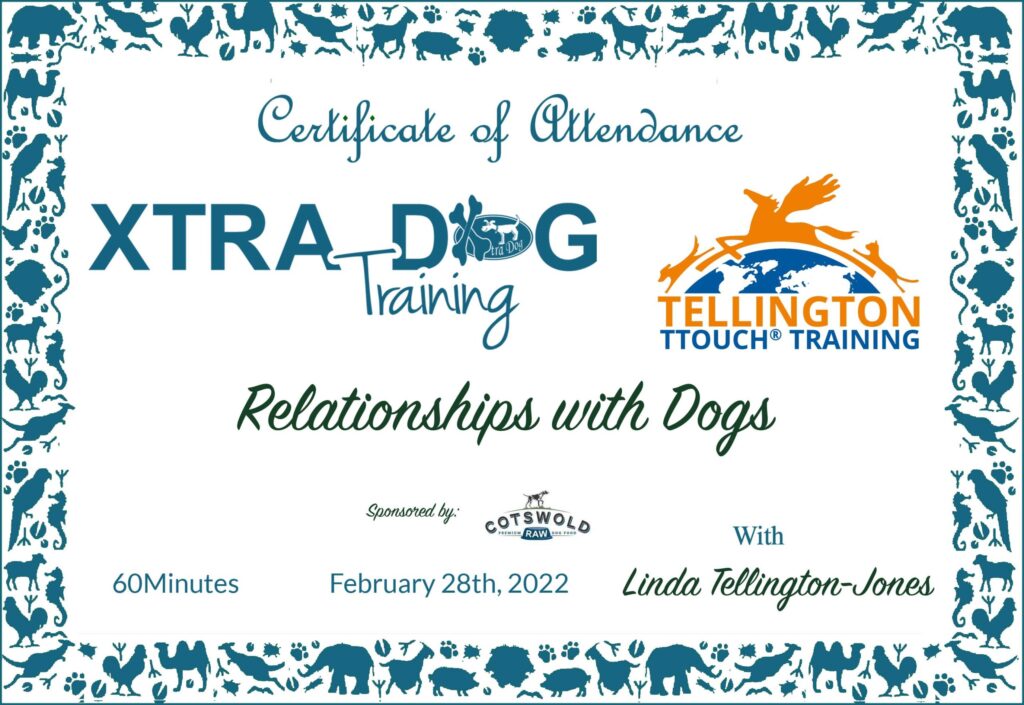 Relationships with dogs certificate
