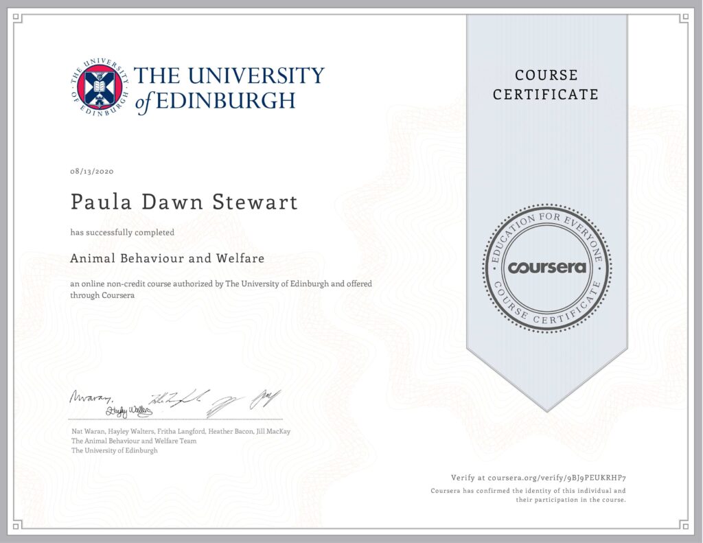 University of Edinburgh certificate