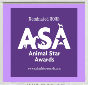 animal star awards