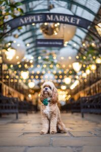 Stills photoshoot in Covent Garden with Darcy