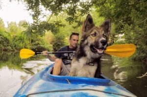 Rumble is pictured enjoying a boat ride in a canoe