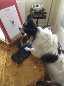 Michael-Papilon-standing. 