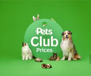 Spyro-Australian Shepherd-stills job.