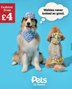 Spyro-Australian Shepherd-stills job 2.