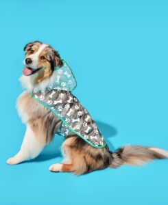 Spyro-Australian Shepherd-clothing-stills job3.