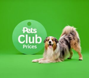 Spyro-Australian Shepherd-stills job4.