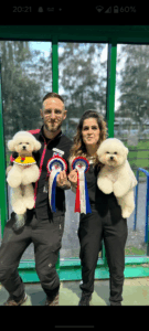 Mally the white Bichon Frise is handled with a friend with medals