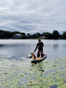 Churro-Chihuahua X Yorkshire Terrier - on paddleboard.