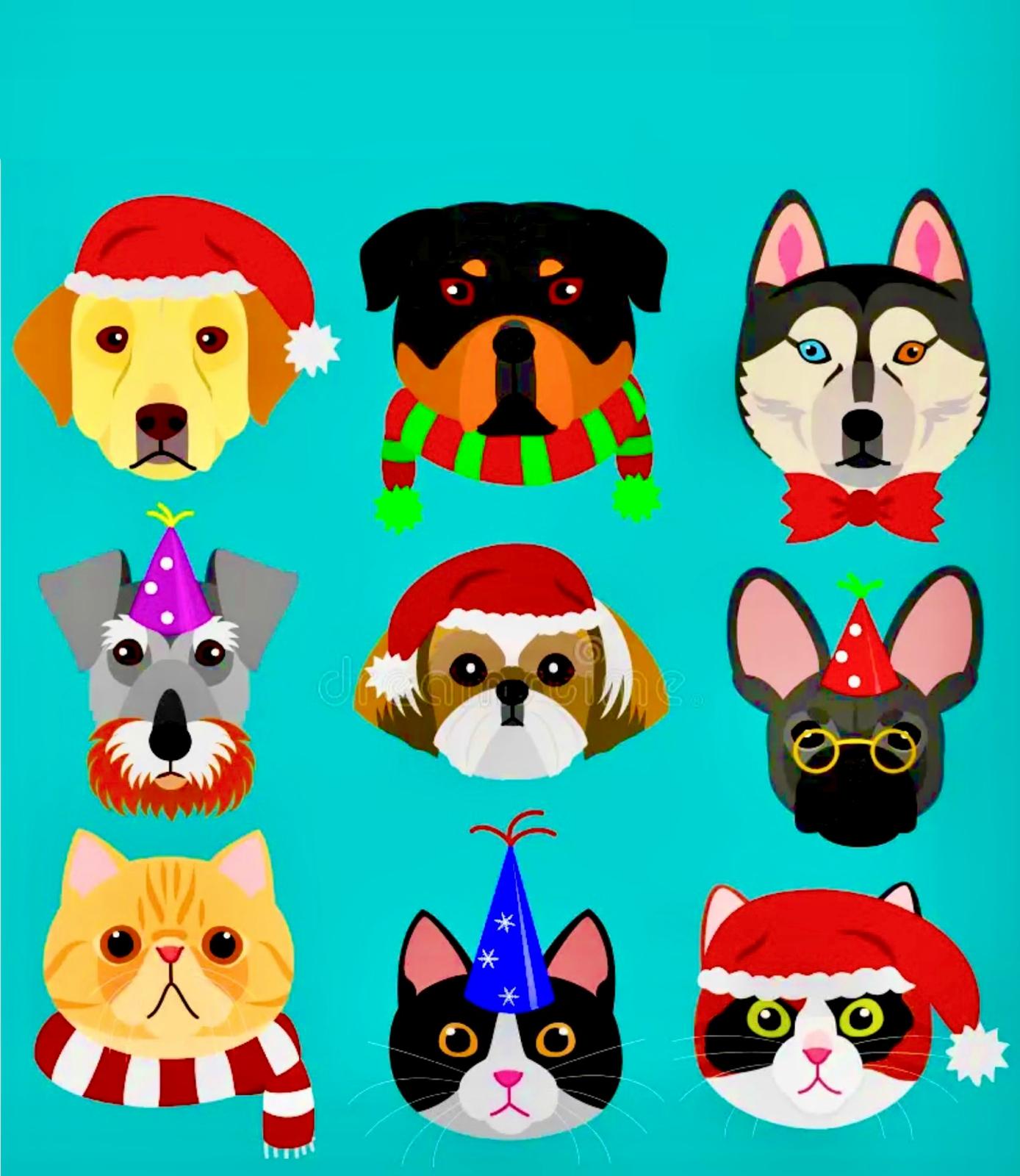 Christmas bookings at The Animal Talent