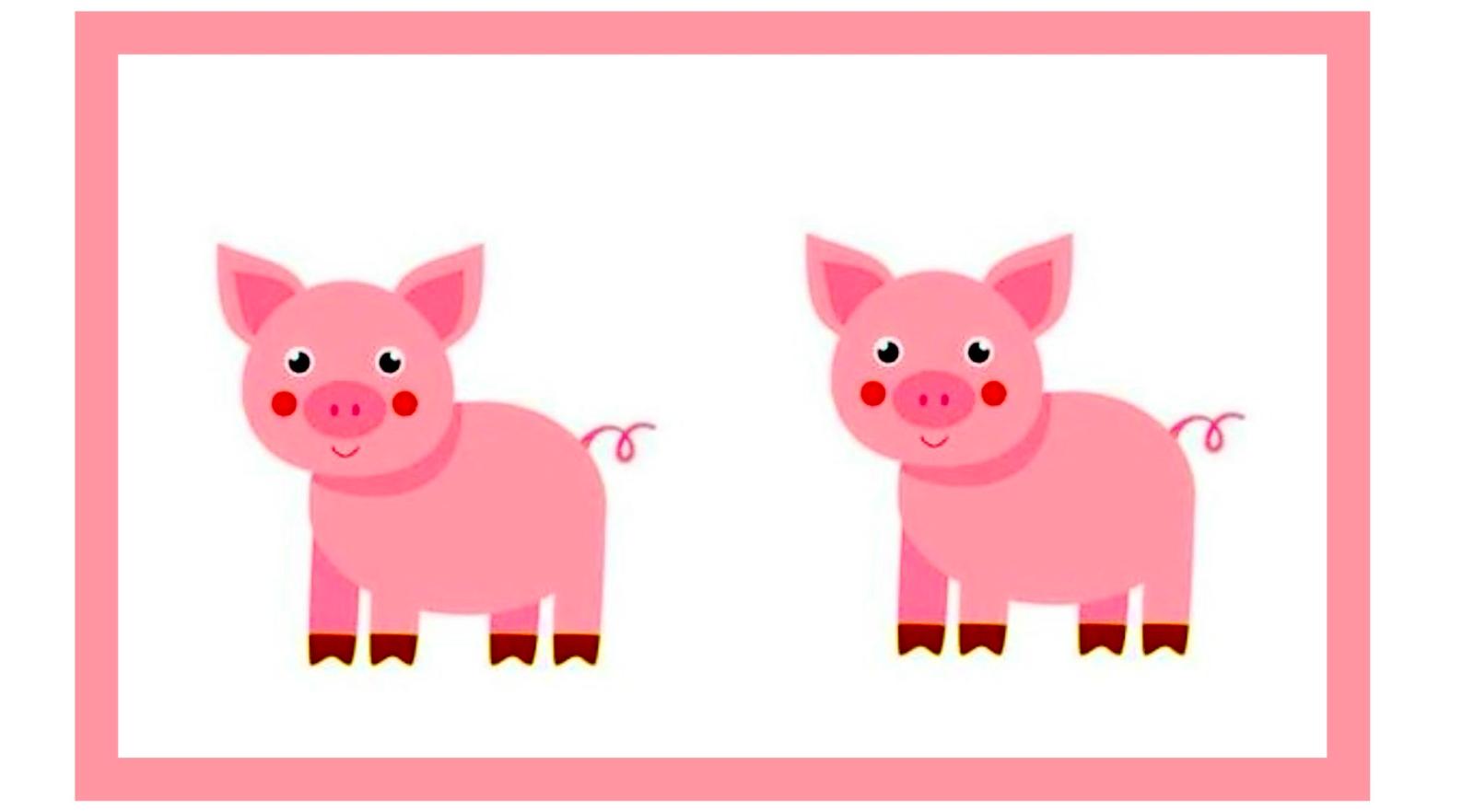Two identical pigs