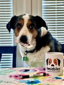 Cookie the Tricolor, mixed Australian Shepherd sits with a card in her mouth