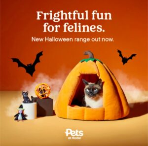 Smoky the cat features in a Pets at Home advert