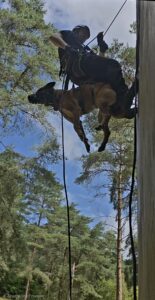 Dog abseiling from tower
