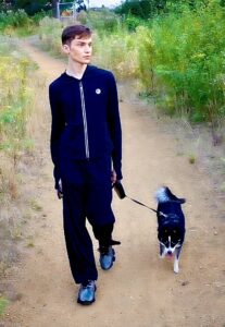 Axel the black and white Pomsky walks with a child companion