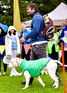 Onyx the white American Bulldog walks in front of a crowd