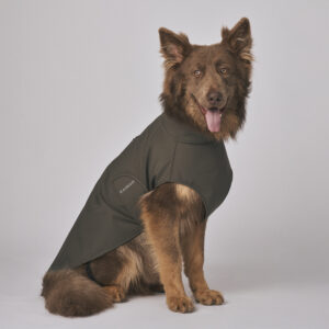 Yogi modelling for Rainah front profile