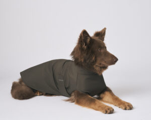 Yogi modelling for Rainah side profile