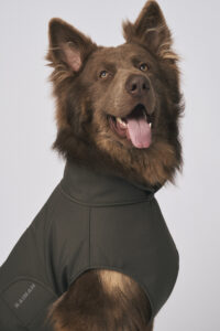 Yogi modelling for Rainah head shot with tongue out