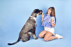 Jurgen the Giant Schnauzer posing at photoshoot with owner