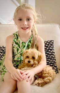 Pippa the Maltipoo with young girl