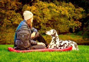 Riley the Dalmatian sitting with owner in the park