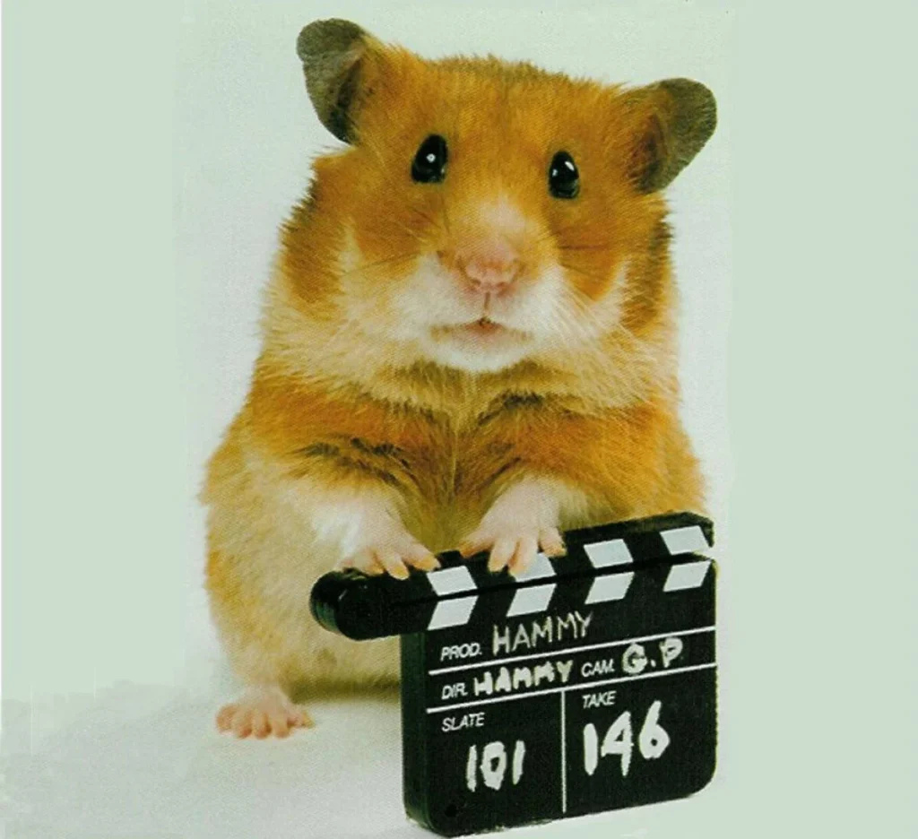 Hamster posing with clapper board