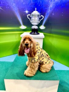 Clifford the Cocker Spaniel posing with trophy