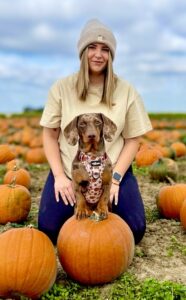 Nala the Mini Dachshund sitting on a pumpkin