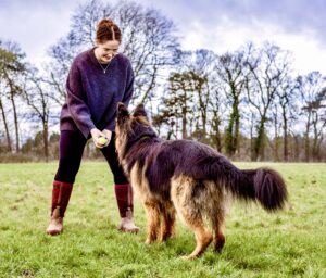 Black and Tan German Shepherd with owner