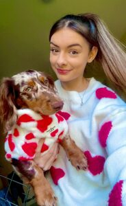Spotted Minature Dachshund wearing heart costume