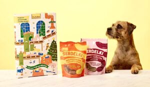 Border Terrier posing with dog products