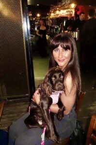 Chocolate Working Cocker Spaniel sitting on her owners lap